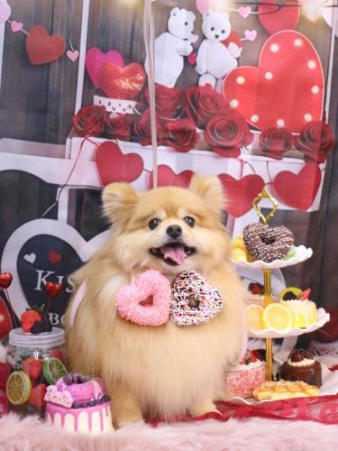 20250202梛都ちゃん